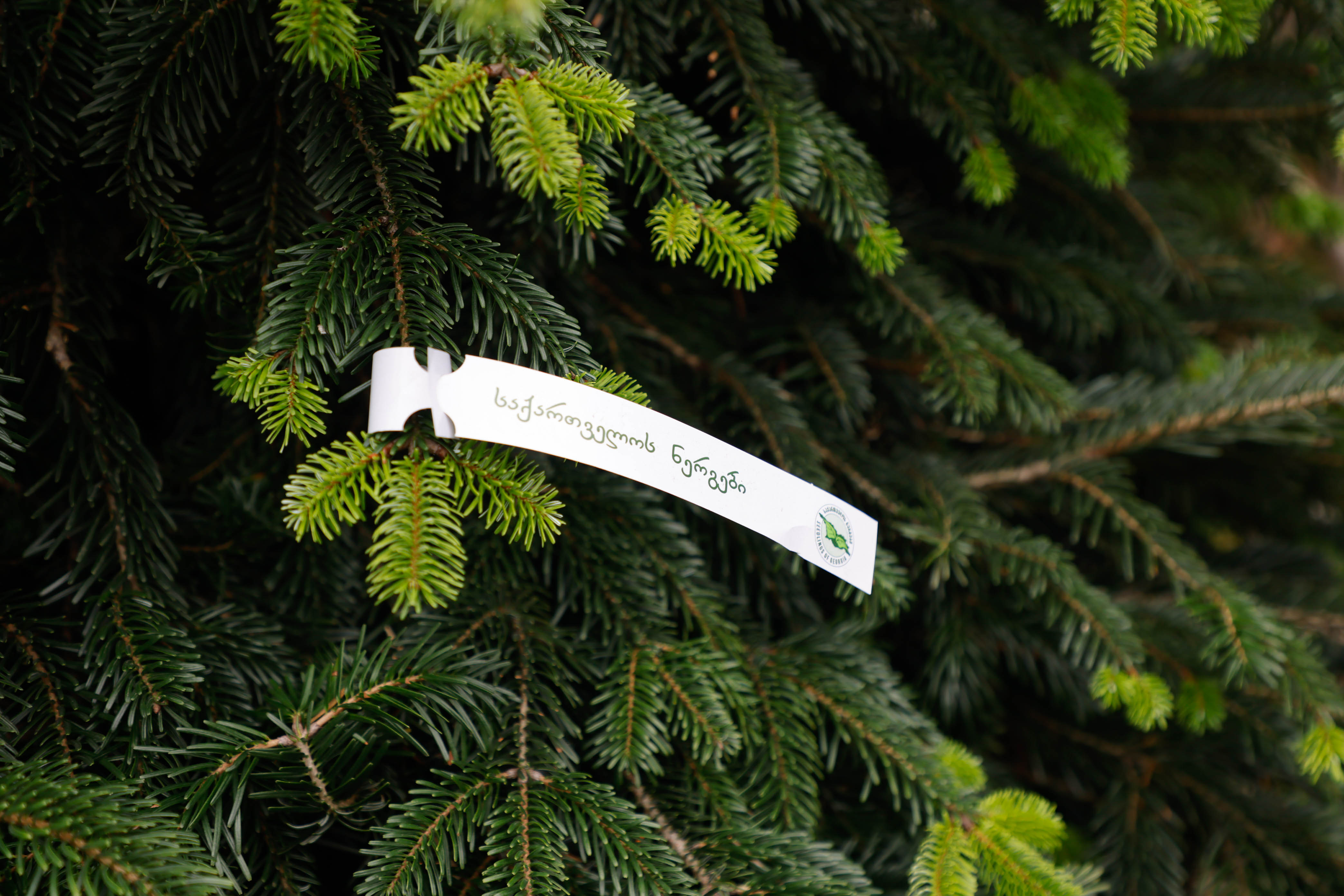 ჩვენ შესახებ